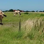 In Belgium For 2 Person