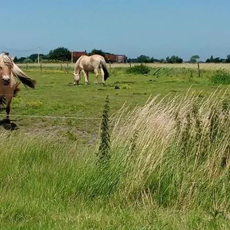 In Belgium For 2 Person