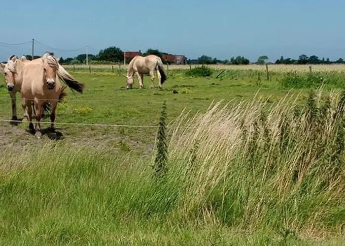 In Belgium For 2 Person